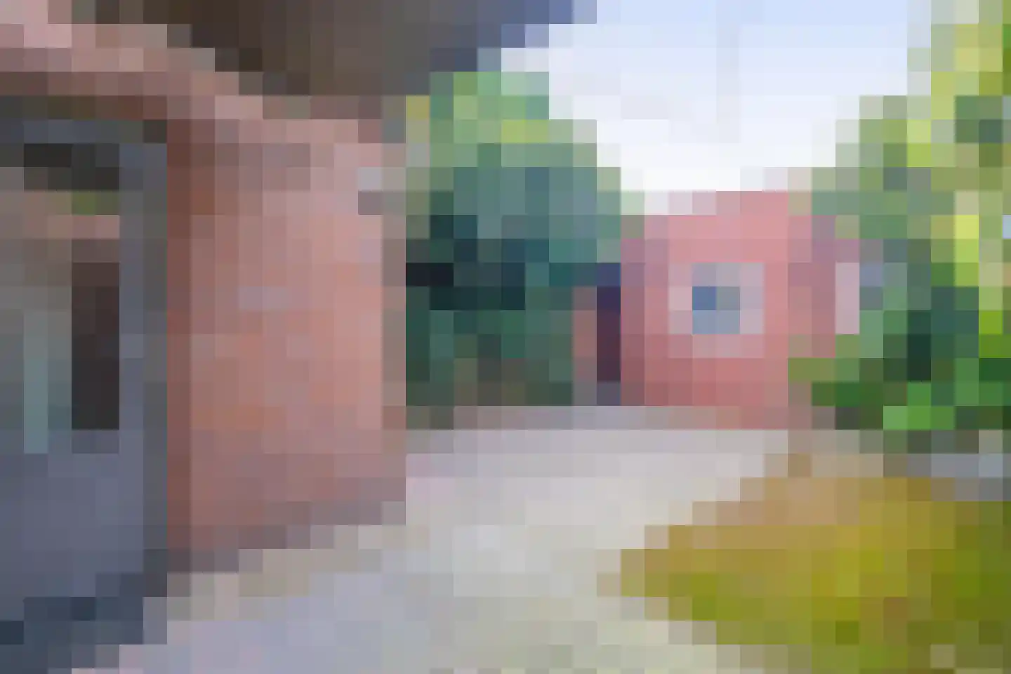 Ranonkelstraat 19 Waalwijk thumbnail 16