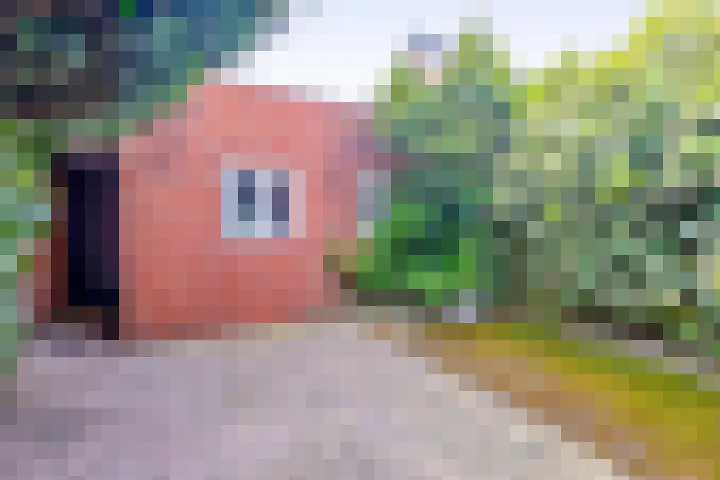 Ranonkelstraat 19 Waalwijk thumbnail 17