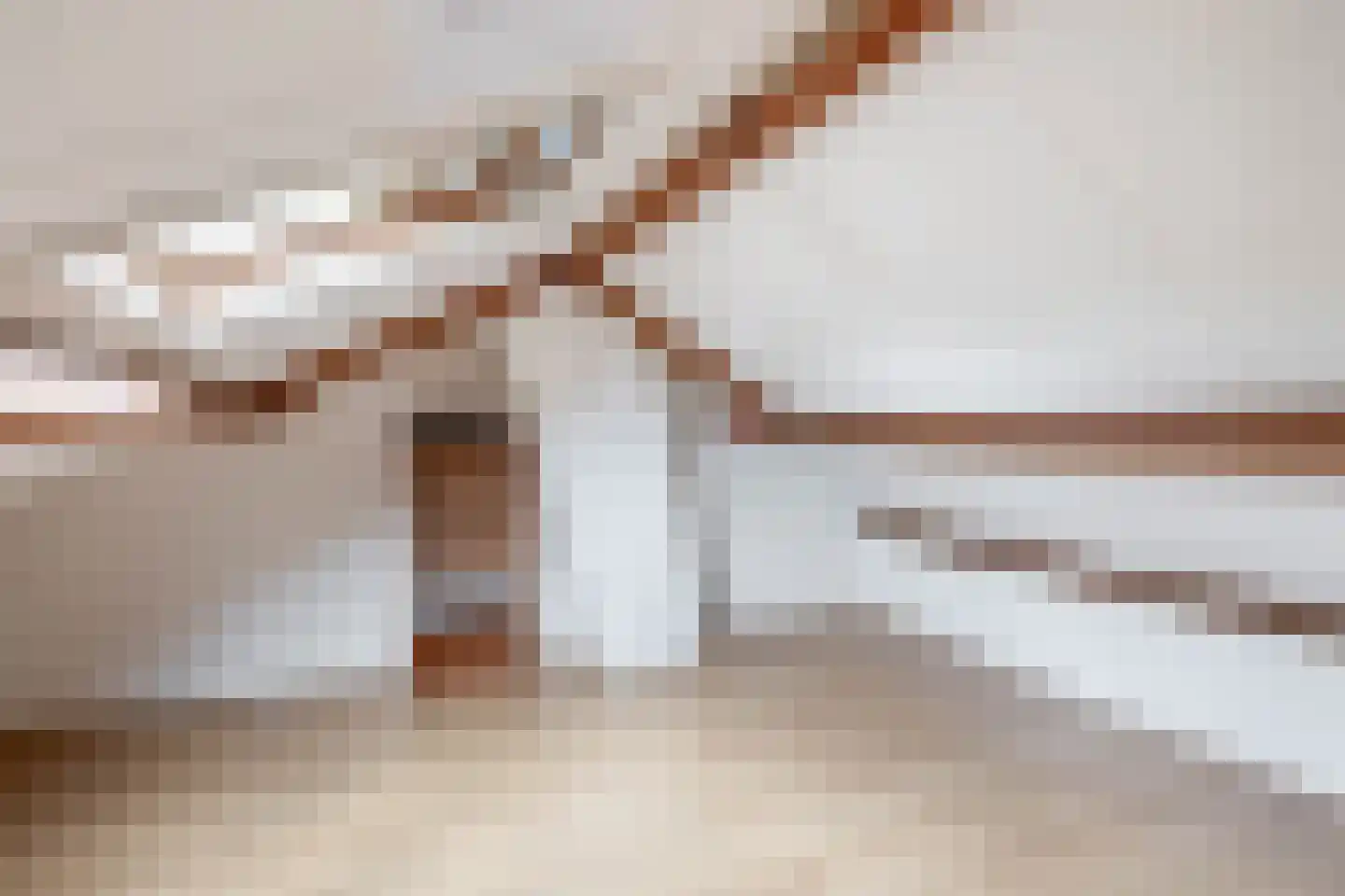 Ranonkelstraat 19 Waalwijk thumbnail 28