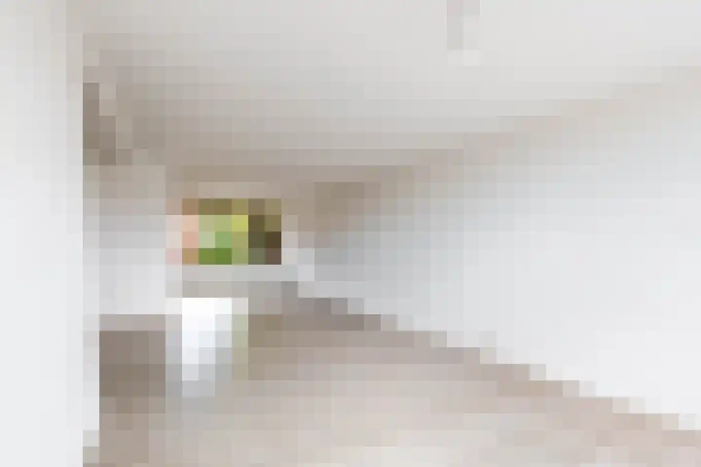 Ranonkelstraat 19 Waalwijk thumbnail 8