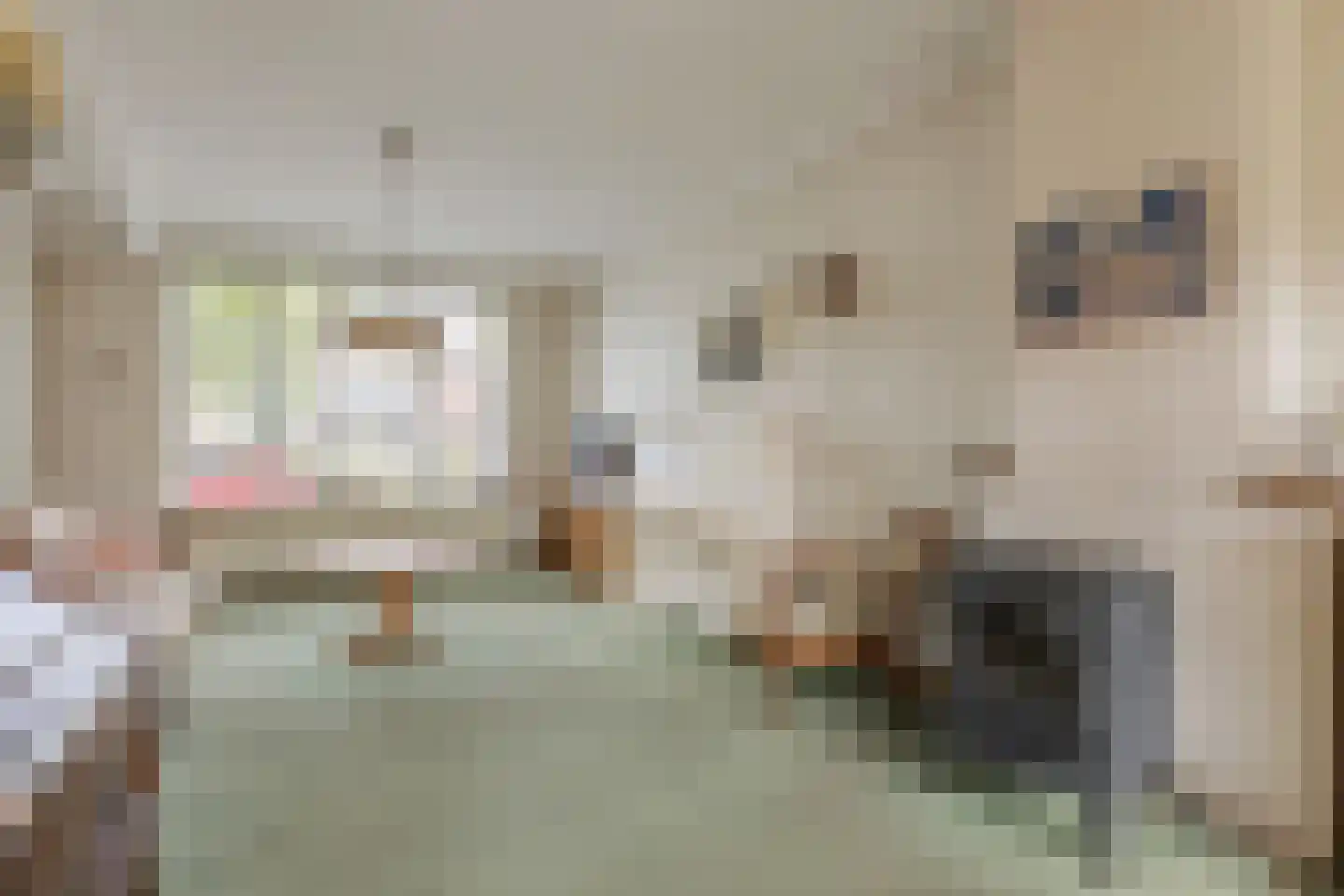Ranonkelstraat 21 Arnhem thumbnail 11