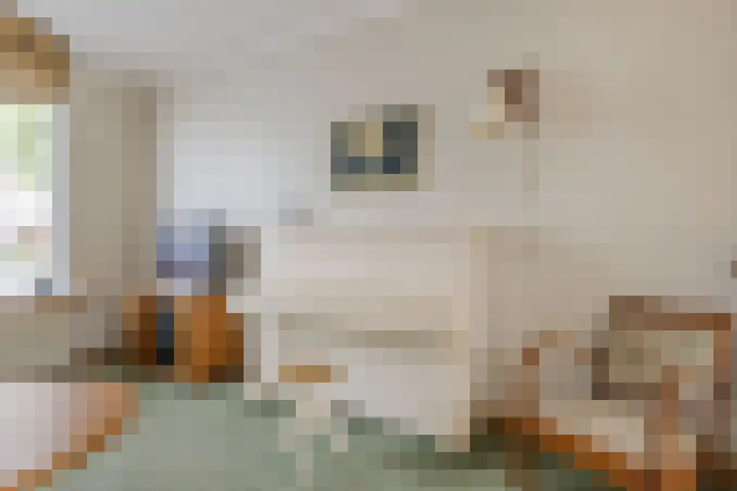 Ranonkelstraat 21 Arnhem thumbnail 12