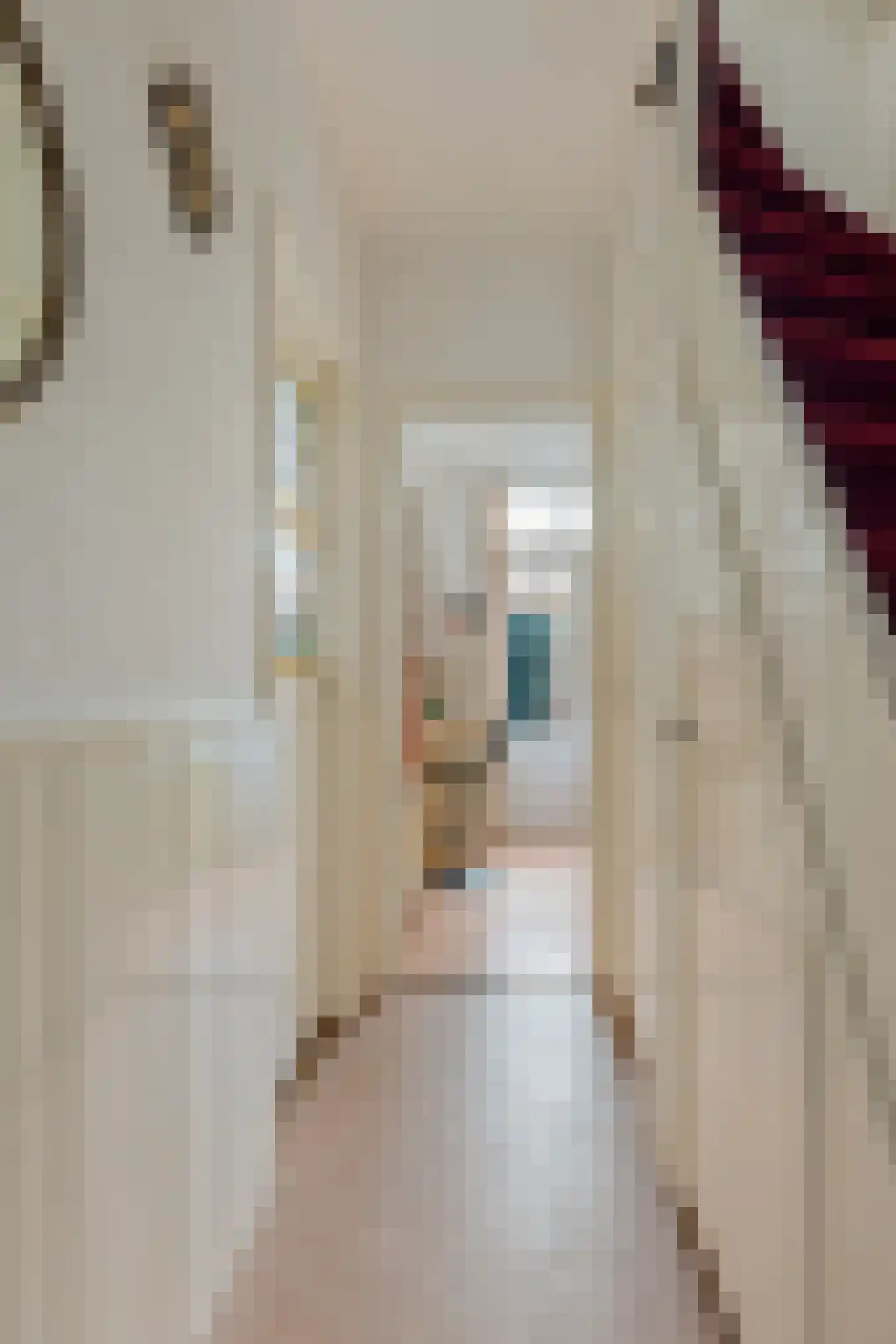 Ranonkelstraat 21 Arnhem thumbnail 14