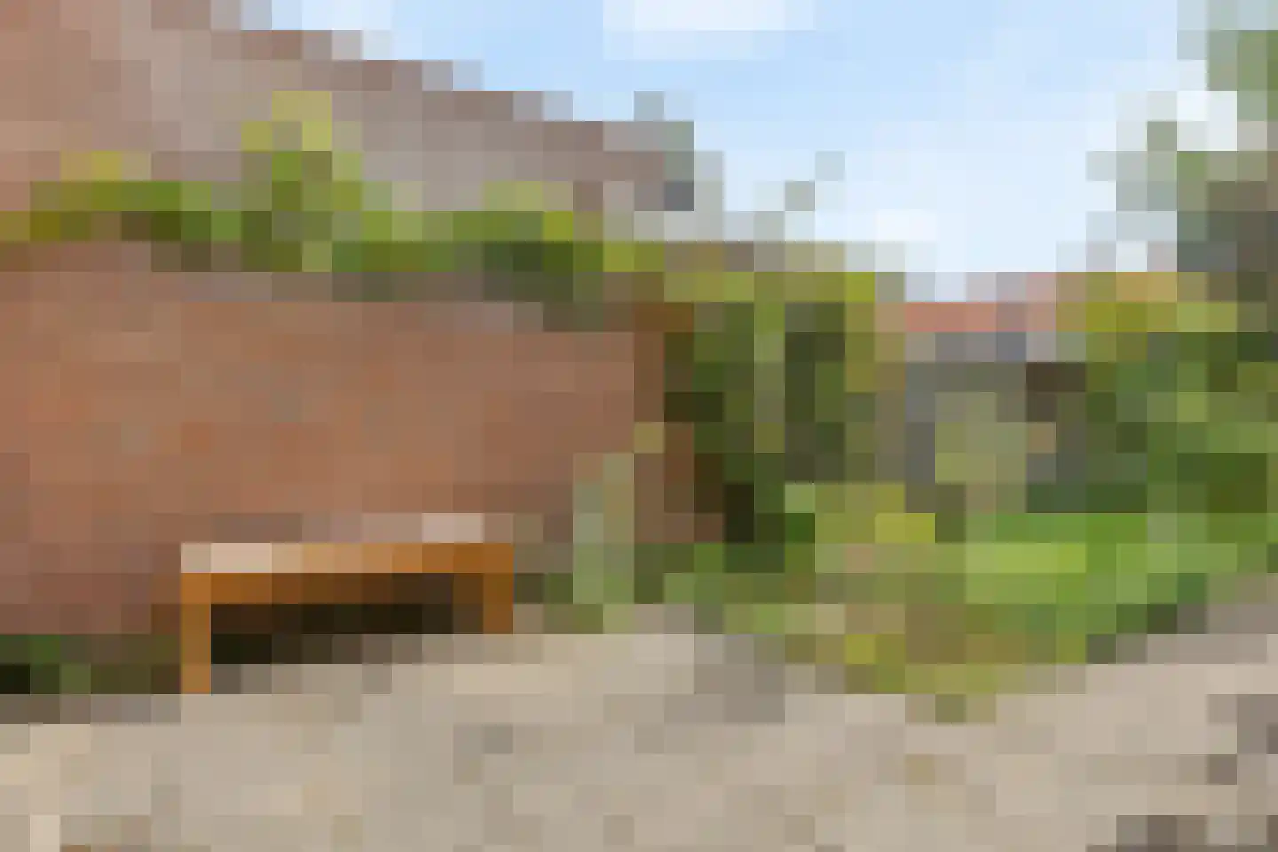 Ranonkelstraat 21 Arnhem thumbnail 26