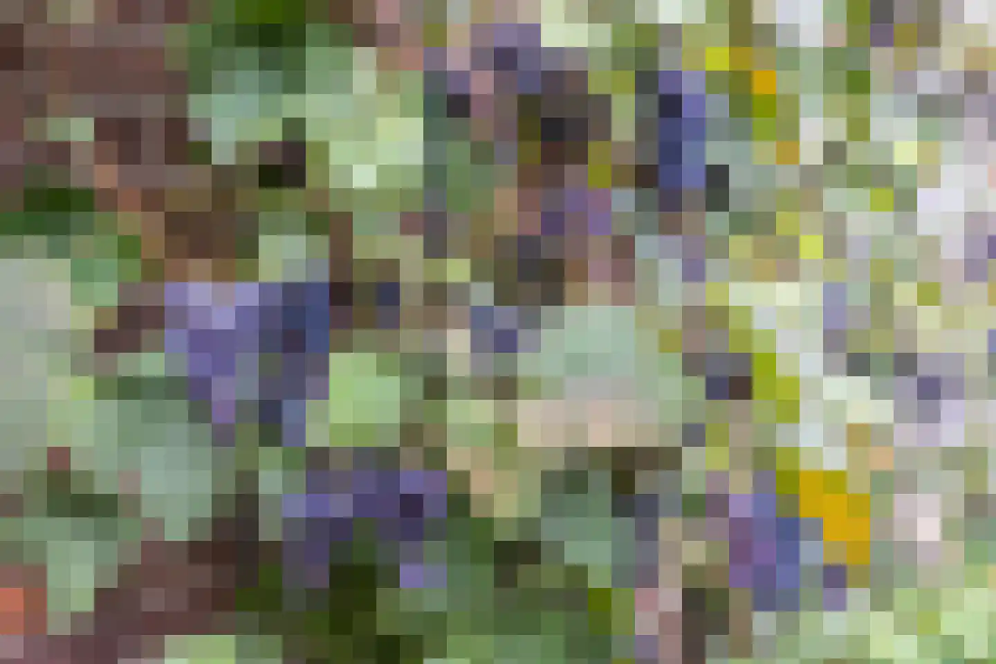 Ranonkelstraat 21 Arnhem thumbnail 31