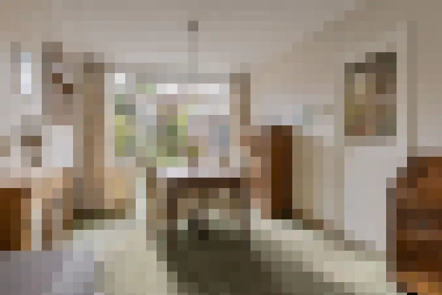 Ranonkelstraat 21 Arnhem thumbnail 8