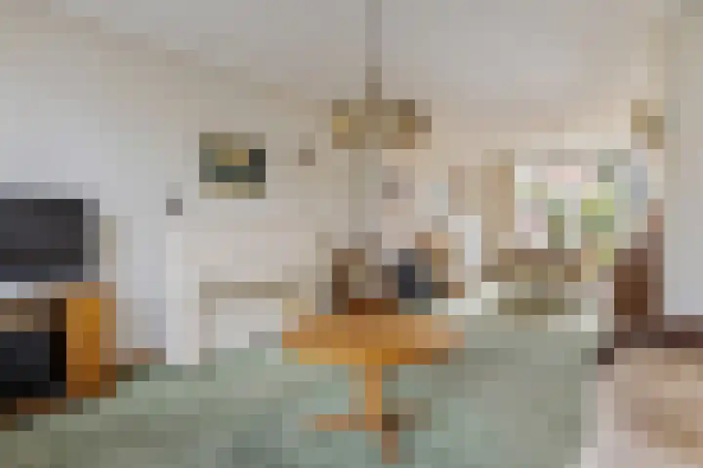 Ranonkelstraat 21 Arnhem thumbnail 9