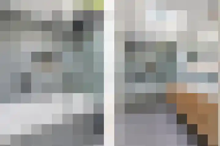 Ranonkelstraat 22 Breda thumbnail 32