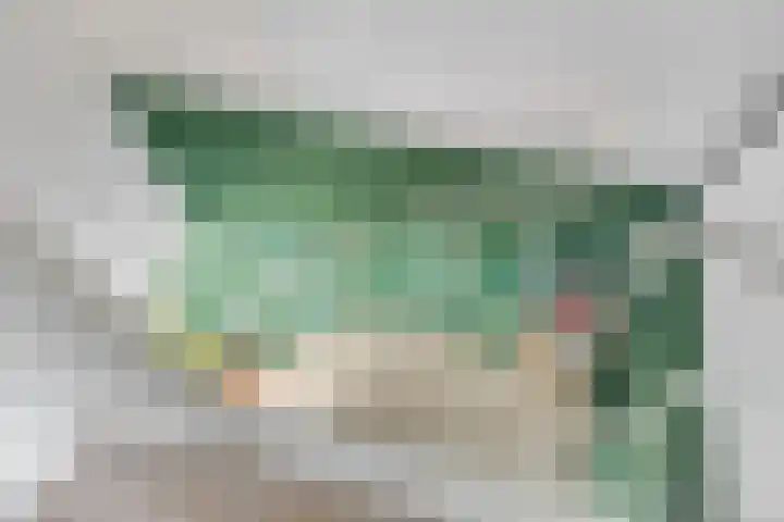 Ranonkelstraat 22 Breda thumbnail 36