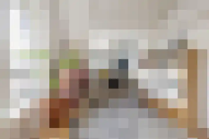 Ranonkelstraat 22 Breda thumbnail 39