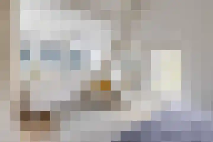 Ranonkelstraat 22 Breda thumbnail 4