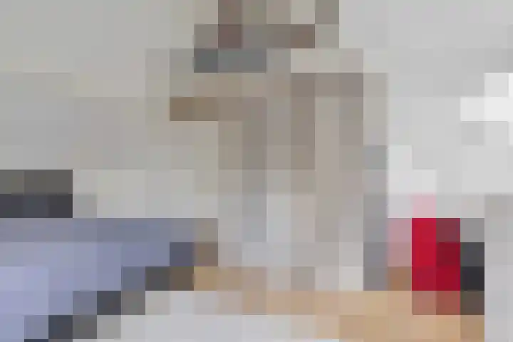 Ranonkelstraat 22 Breda thumbnail 47