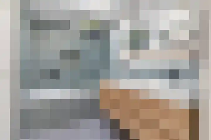 Ranonkelstraat 22 Breda thumbnail 5