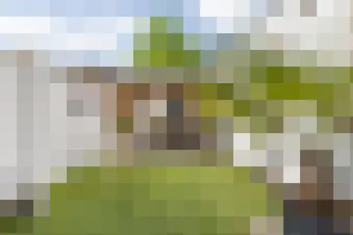 Ranonkelstraat 22 Breda thumbnail 51