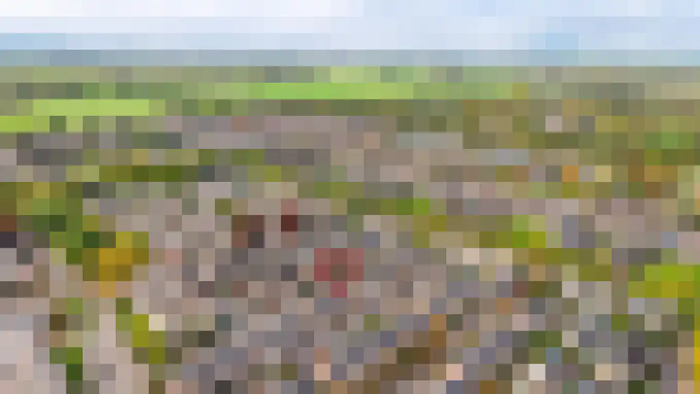 Ranonkelstraat 22 Heteren thumbnail 36