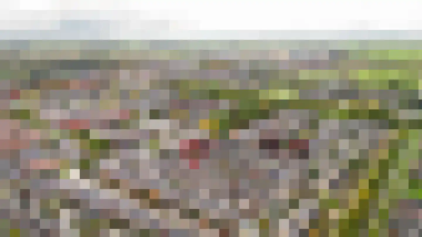 Ranonkelstraat 22 Heteren thumbnail 37