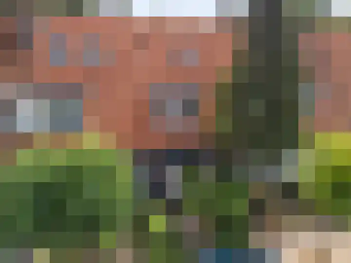 Ranonkelstraat 24 Amersfoort thumbnail 26