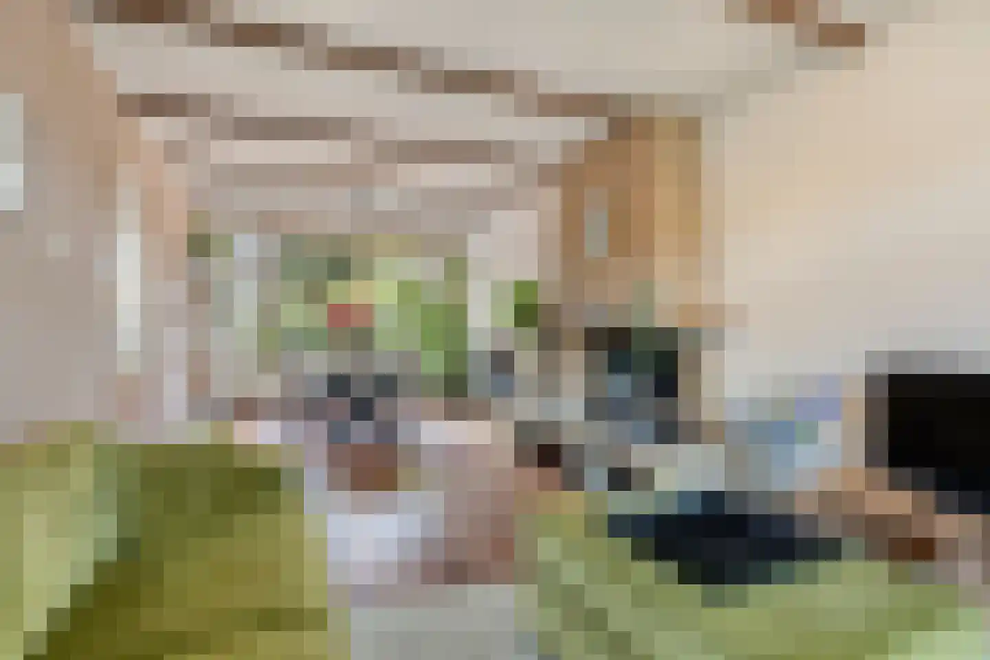 Ranonkelstraat 25 Eindhoven thumbnail 10