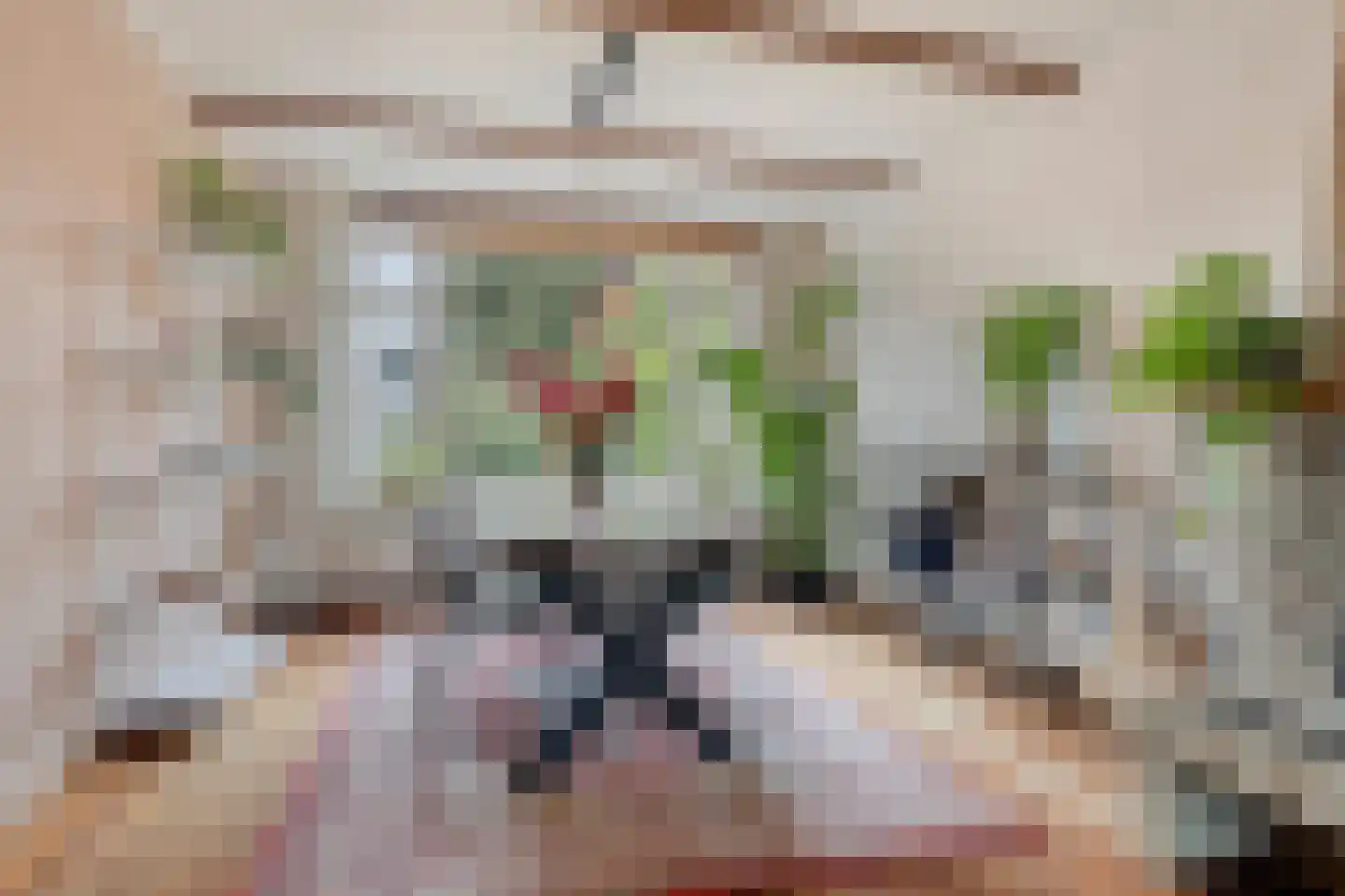 Ranonkelstraat 25 Eindhoven thumbnail 12