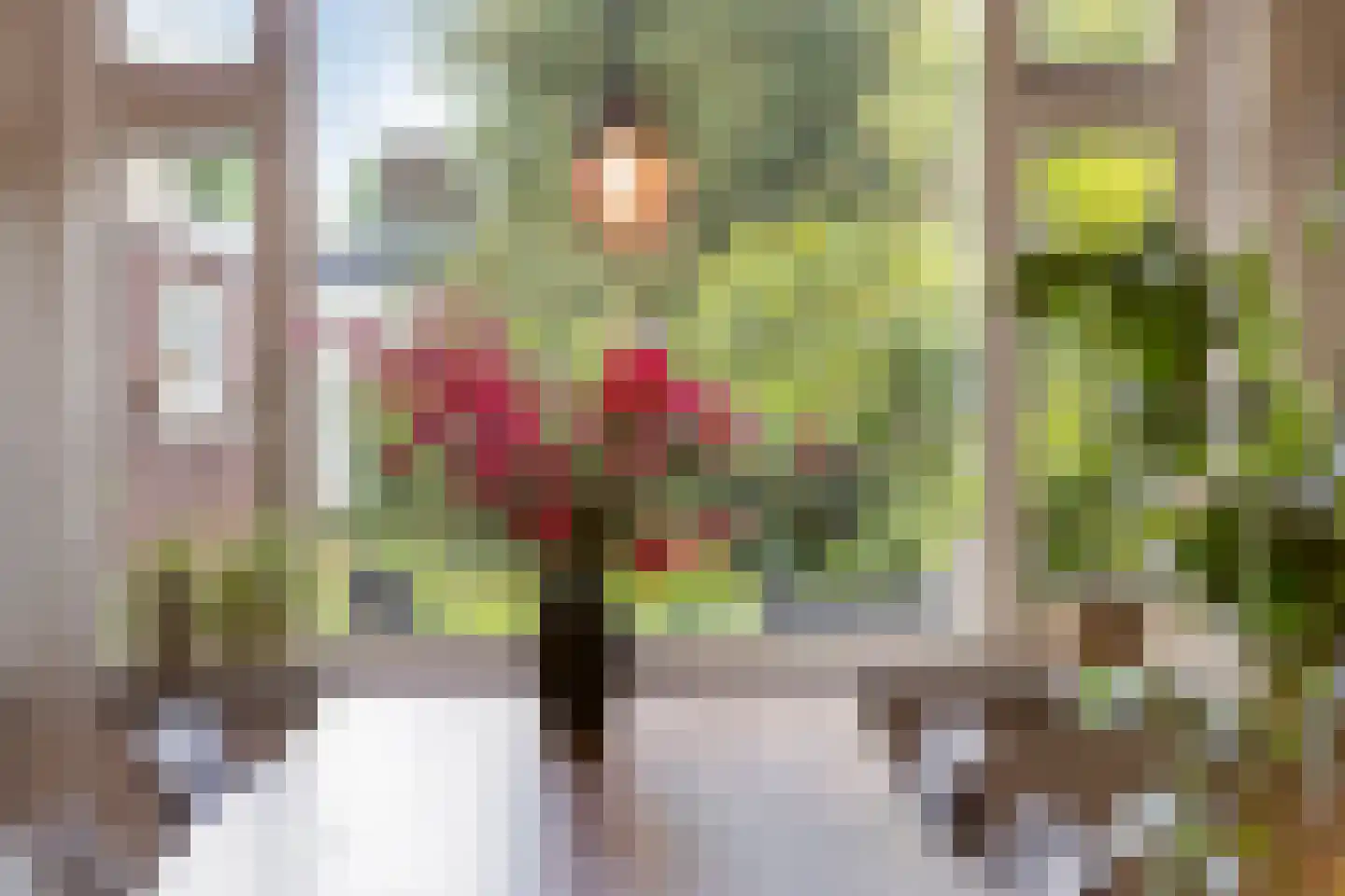 Ranonkelstraat 25 Eindhoven thumbnail 13