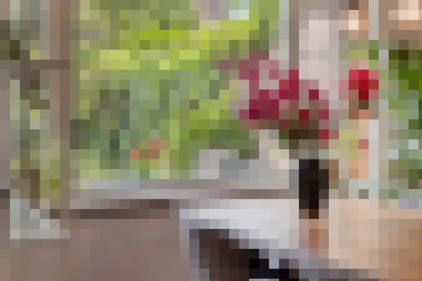 Ranonkelstraat 25 Eindhoven thumbnail 14