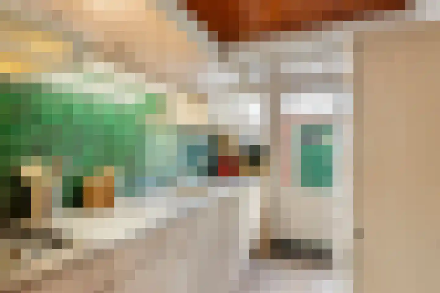 Ranonkelstraat 25 Eindhoven thumbnail 16