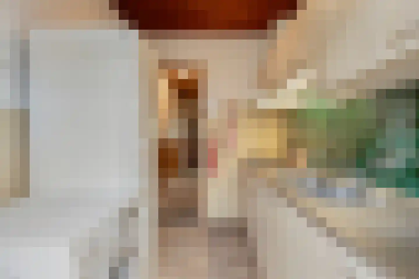Ranonkelstraat 25 Eindhoven thumbnail 17
