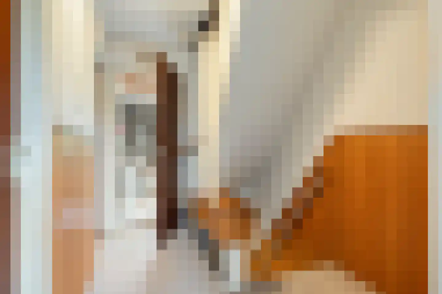 Ranonkelstraat 25 Eindhoven thumbnail 18