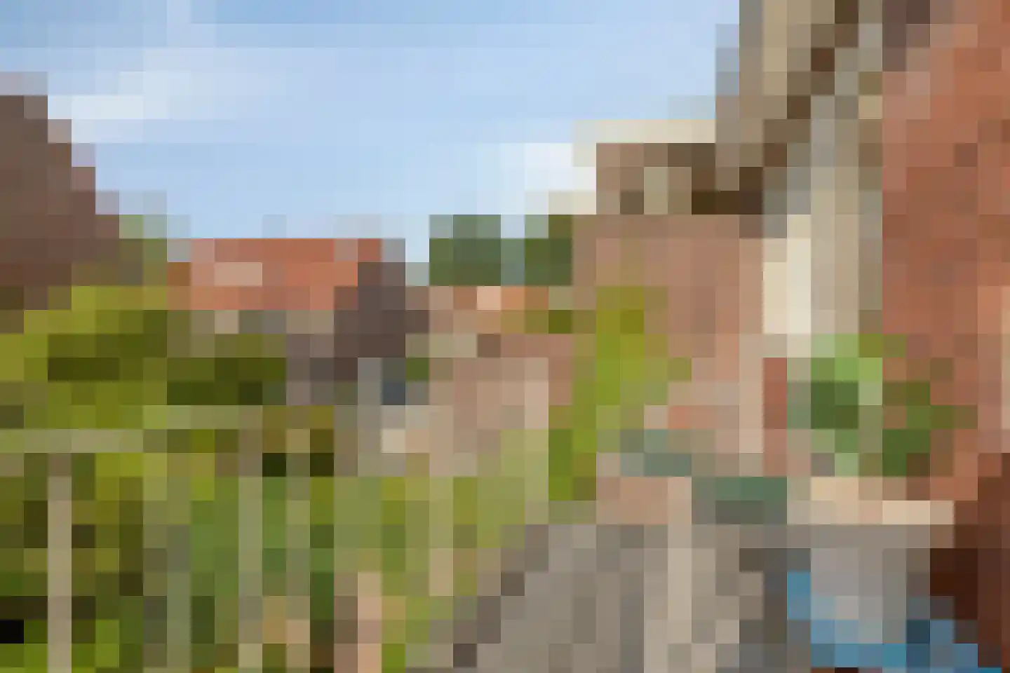 Ranonkelstraat 25 Eindhoven thumbnail 24