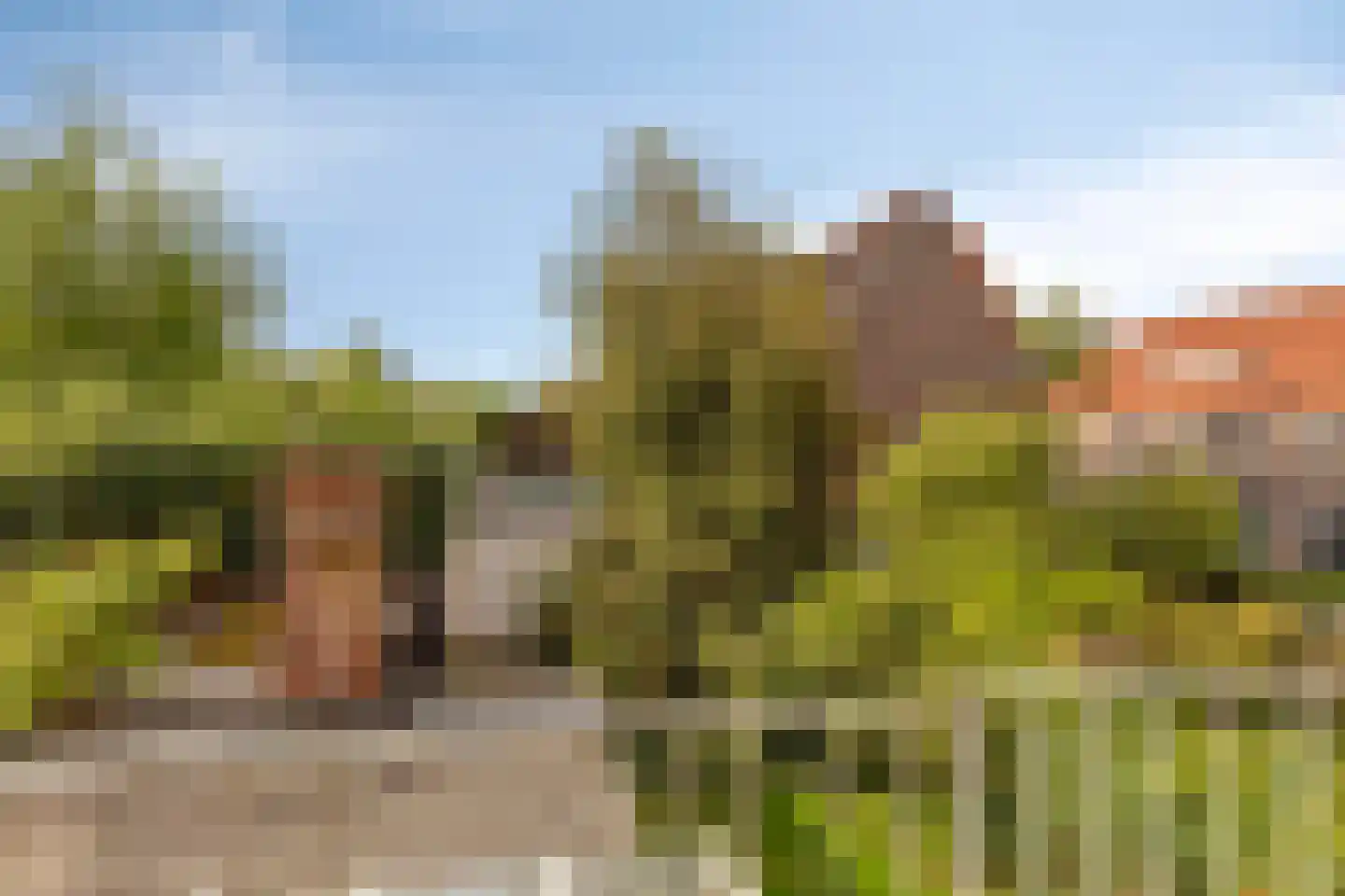 Ranonkelstraat 25 Eindhoven thumbnail 25