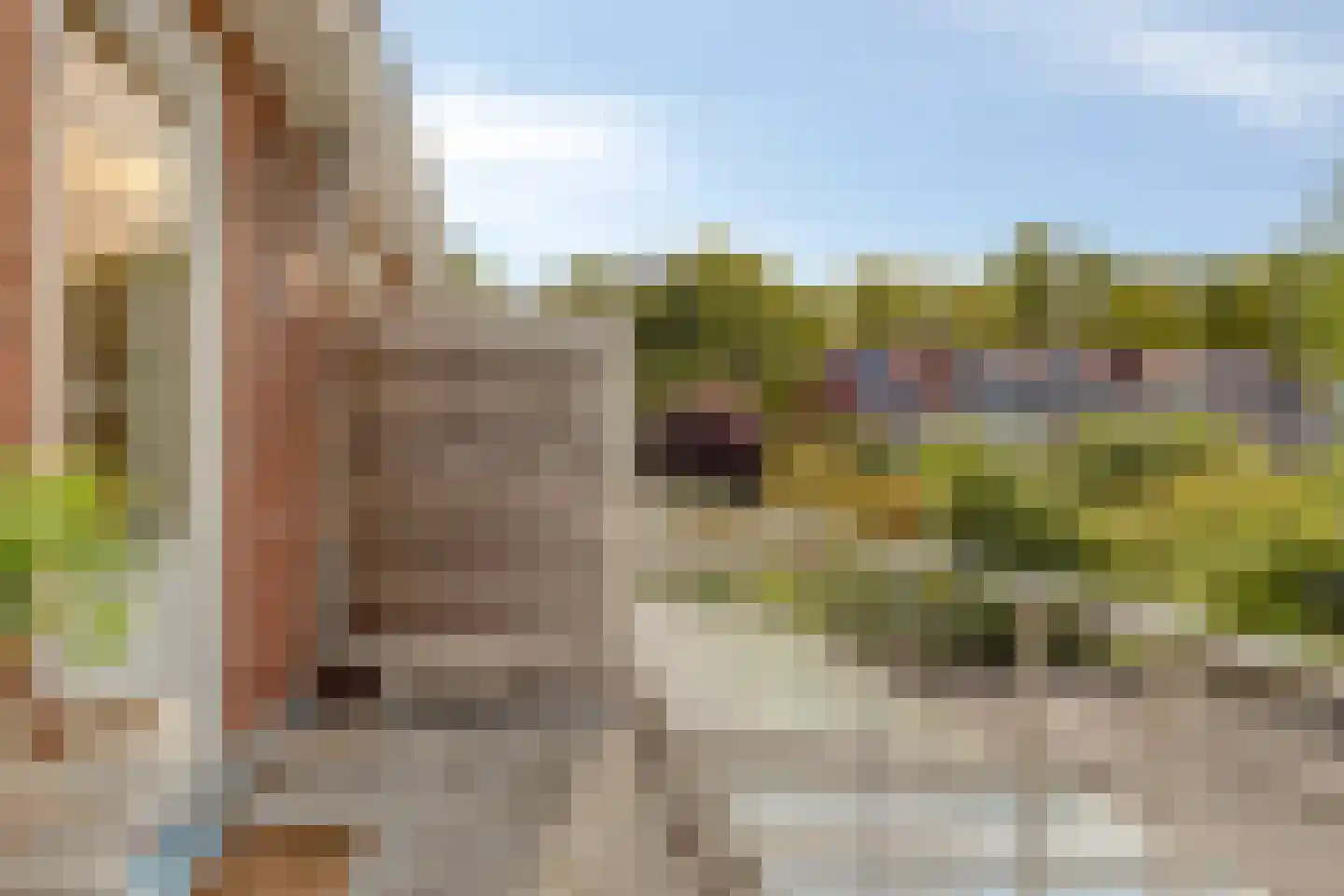 Ranonkelstraat 25 Eindhoven thumbnail 26