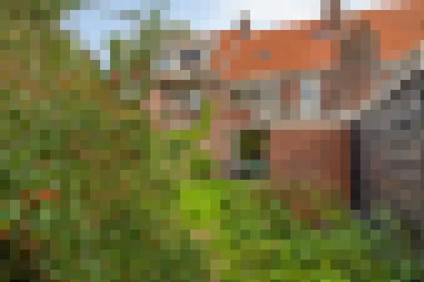 Ranonkelstraat 25 Eindhoven thumbnail 32