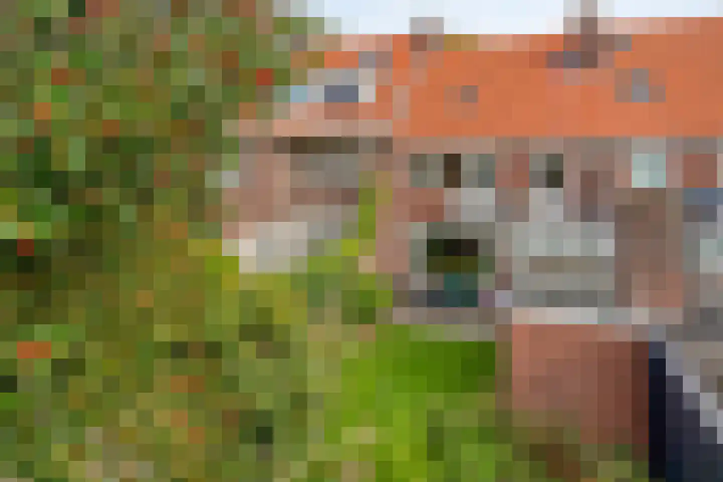 Ranonkelstraat 25 Eindhoven thumbnail 33