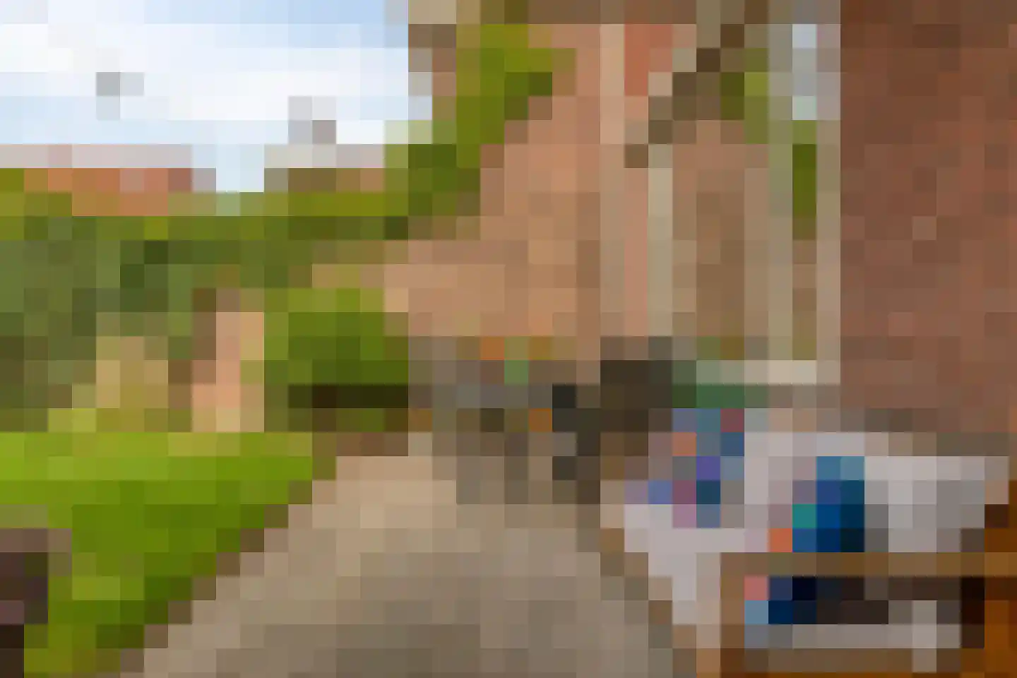 Ranonkelstraat 25 Eindhoven thumbnail 36