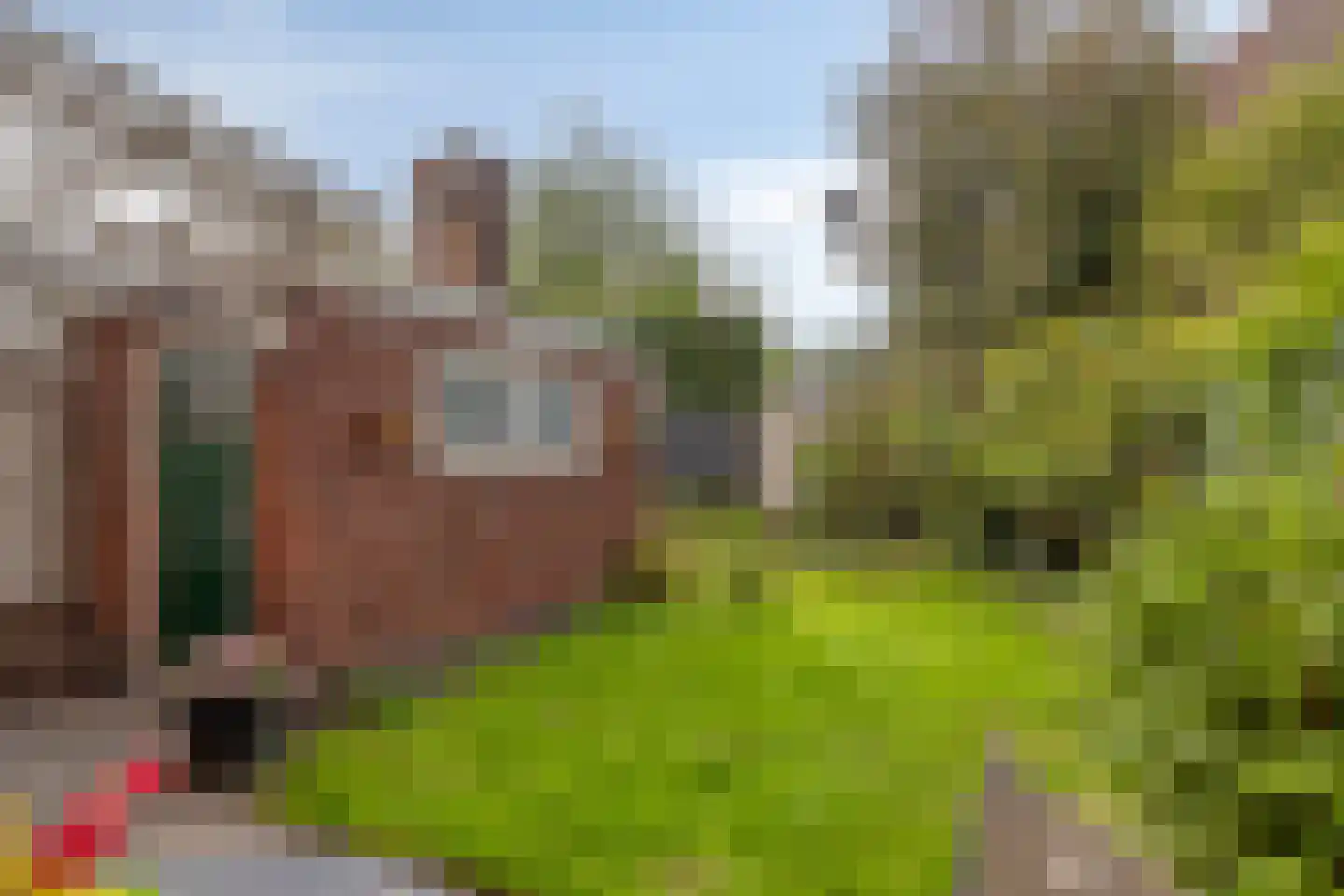Ranonkelstraat 25 Eindhoven thumbnail 37