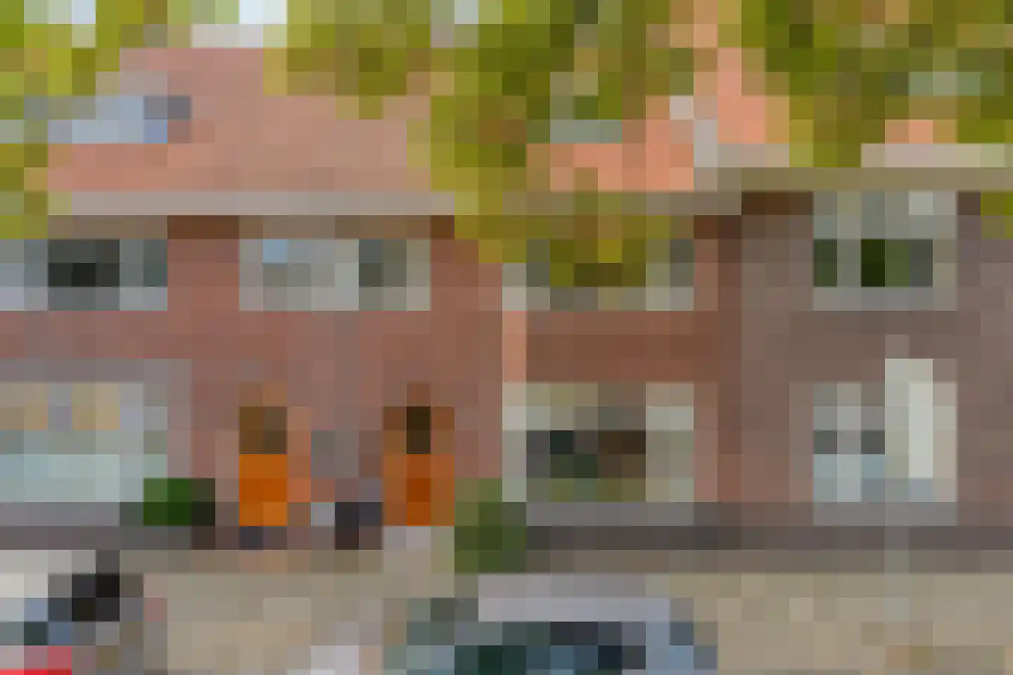 Ranonkelstraat 25 Eindhoven thumbnail 39