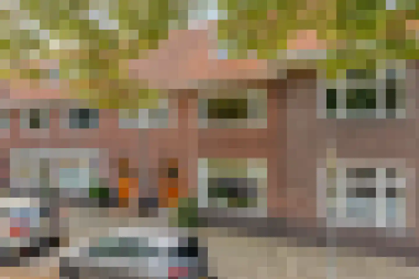 Ranonkelstraat 25 Eindhoven thumbnail 41