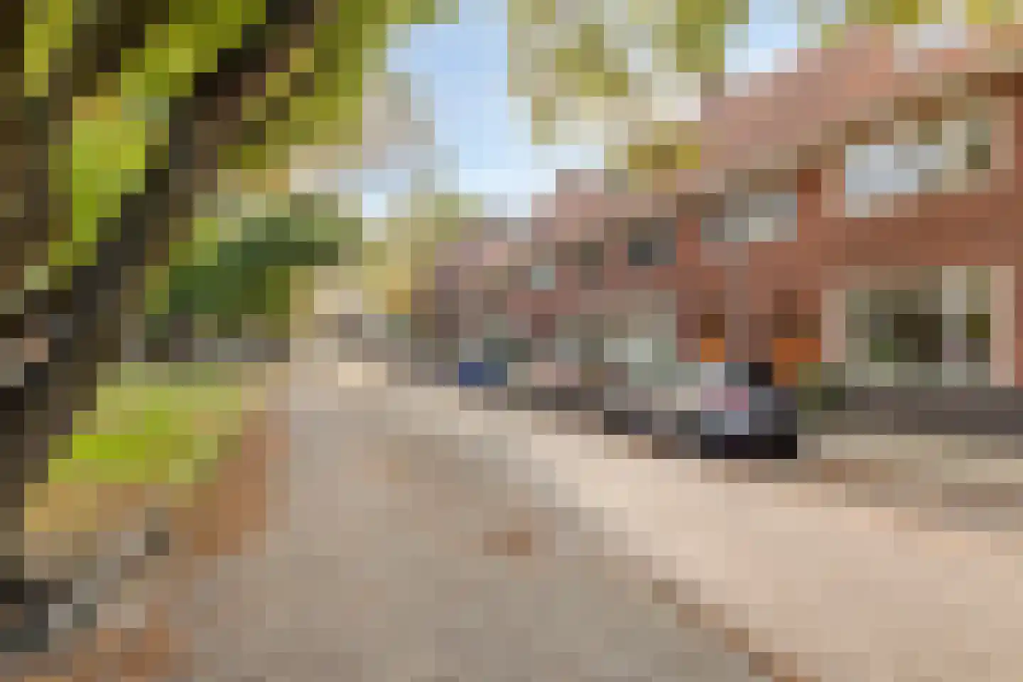 Ranonkelstraat 25 Eindhoven thumbnail 43