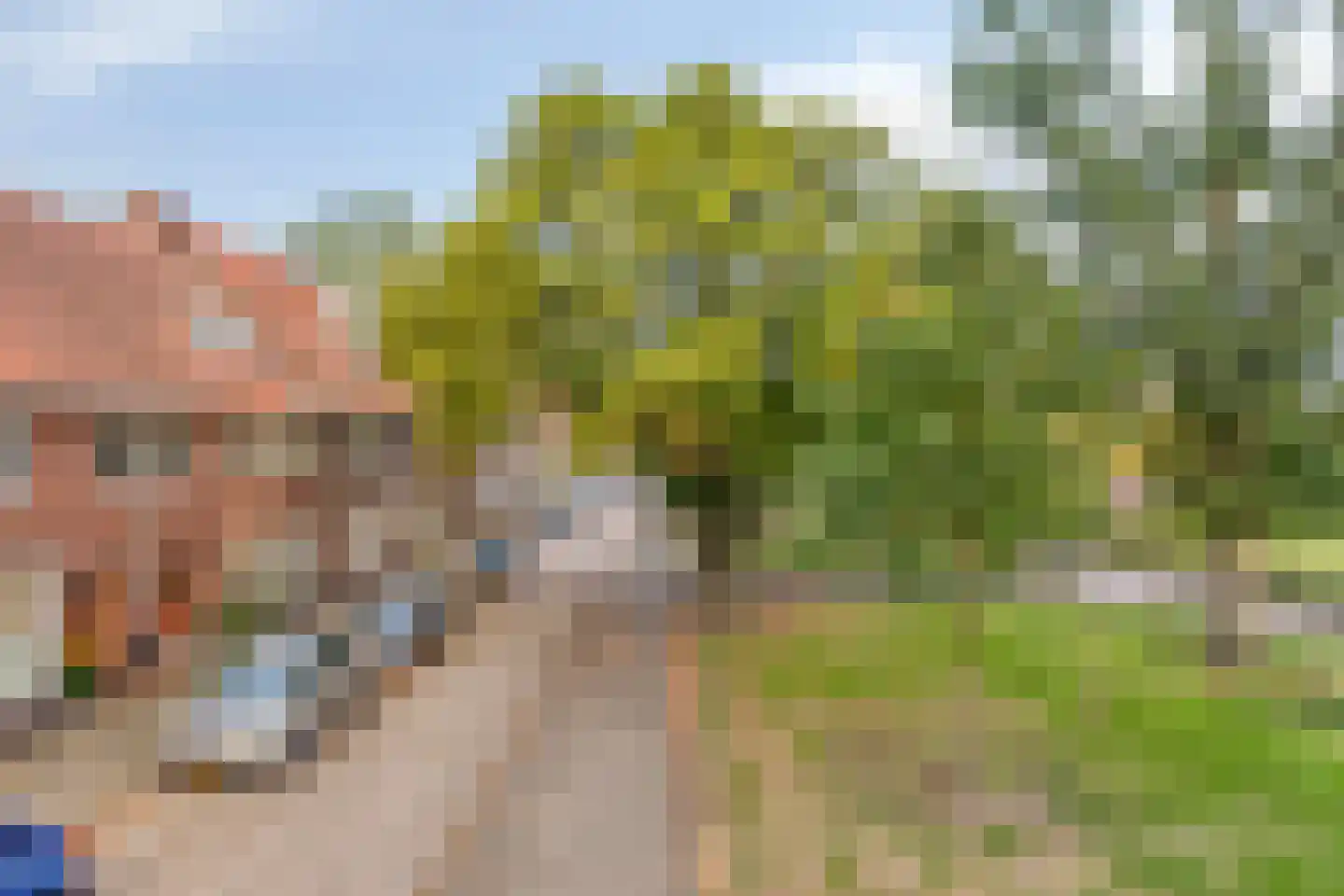 Ranonkelstraat 25 Eindhoven thumbnail 44