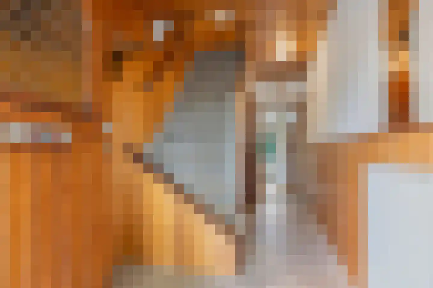 Ranonkelstraat 25 Eindhoven thumbnail 6