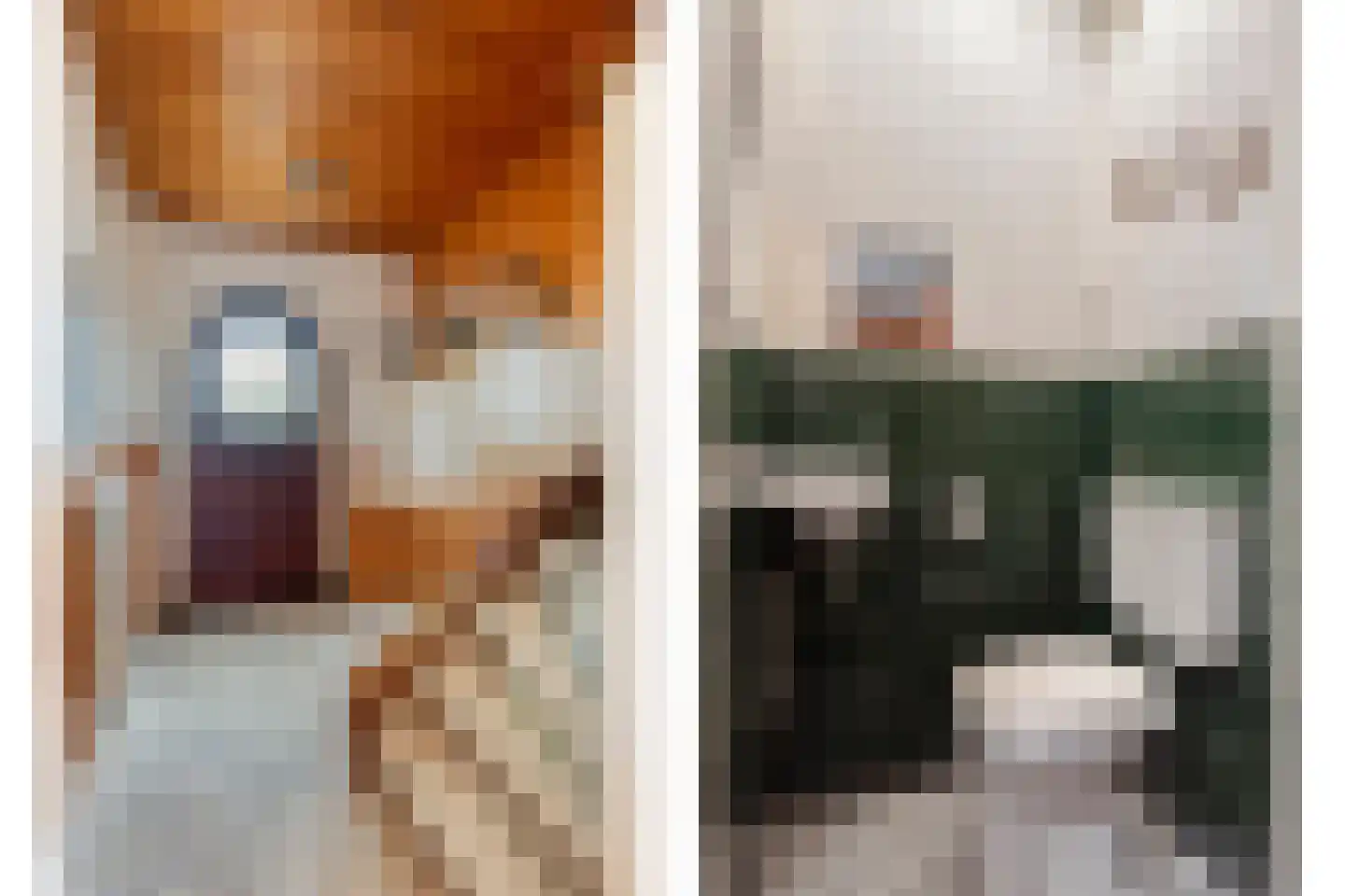 Ranonkelstraat 25 Eindhoven thumbnail 7