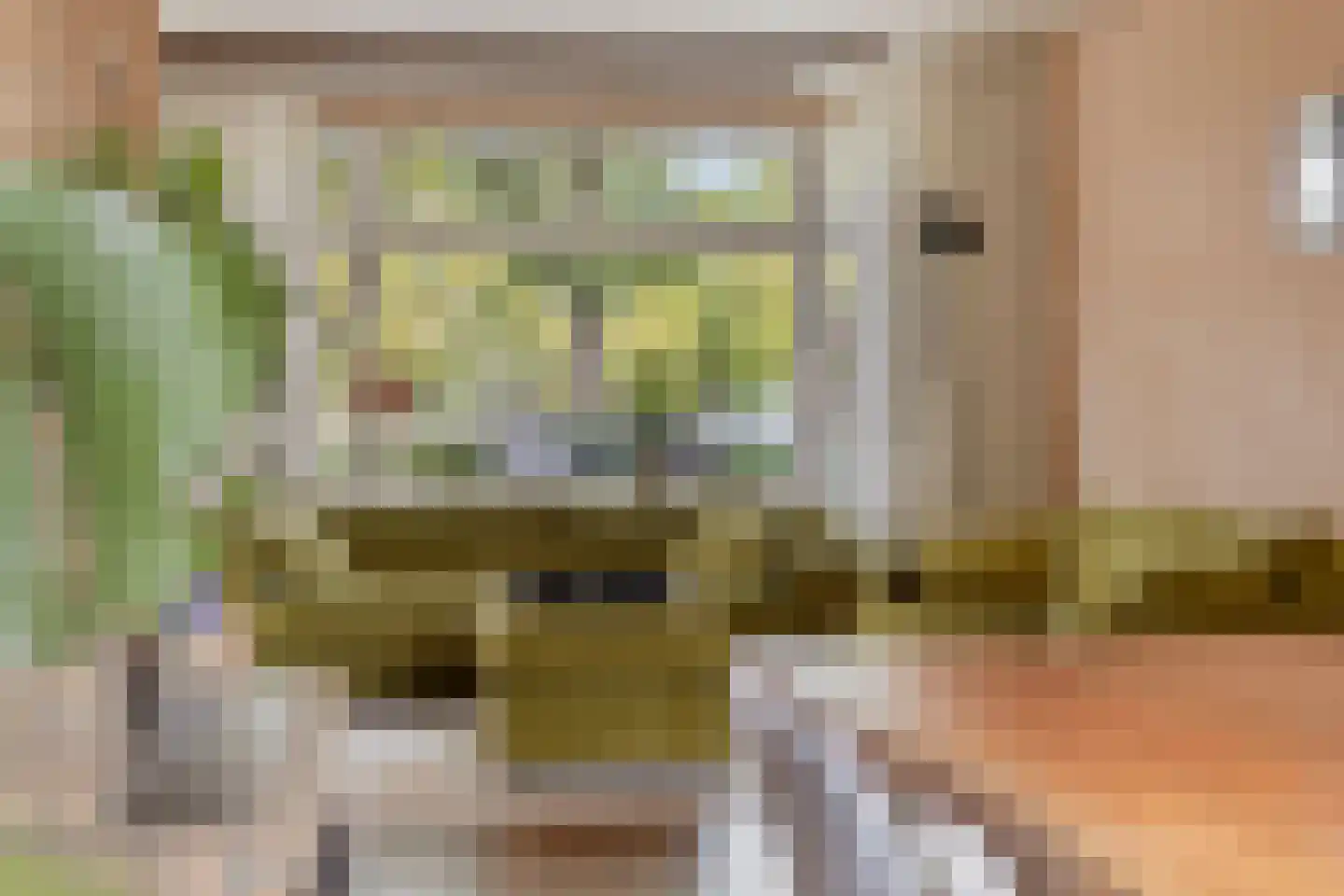 Ranonkelstraat 25 Eindhoven thumbnail 9