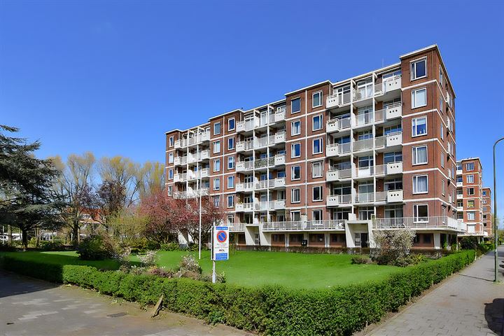 Ranonkelstraat 251 dans 's-Gravenhage photo