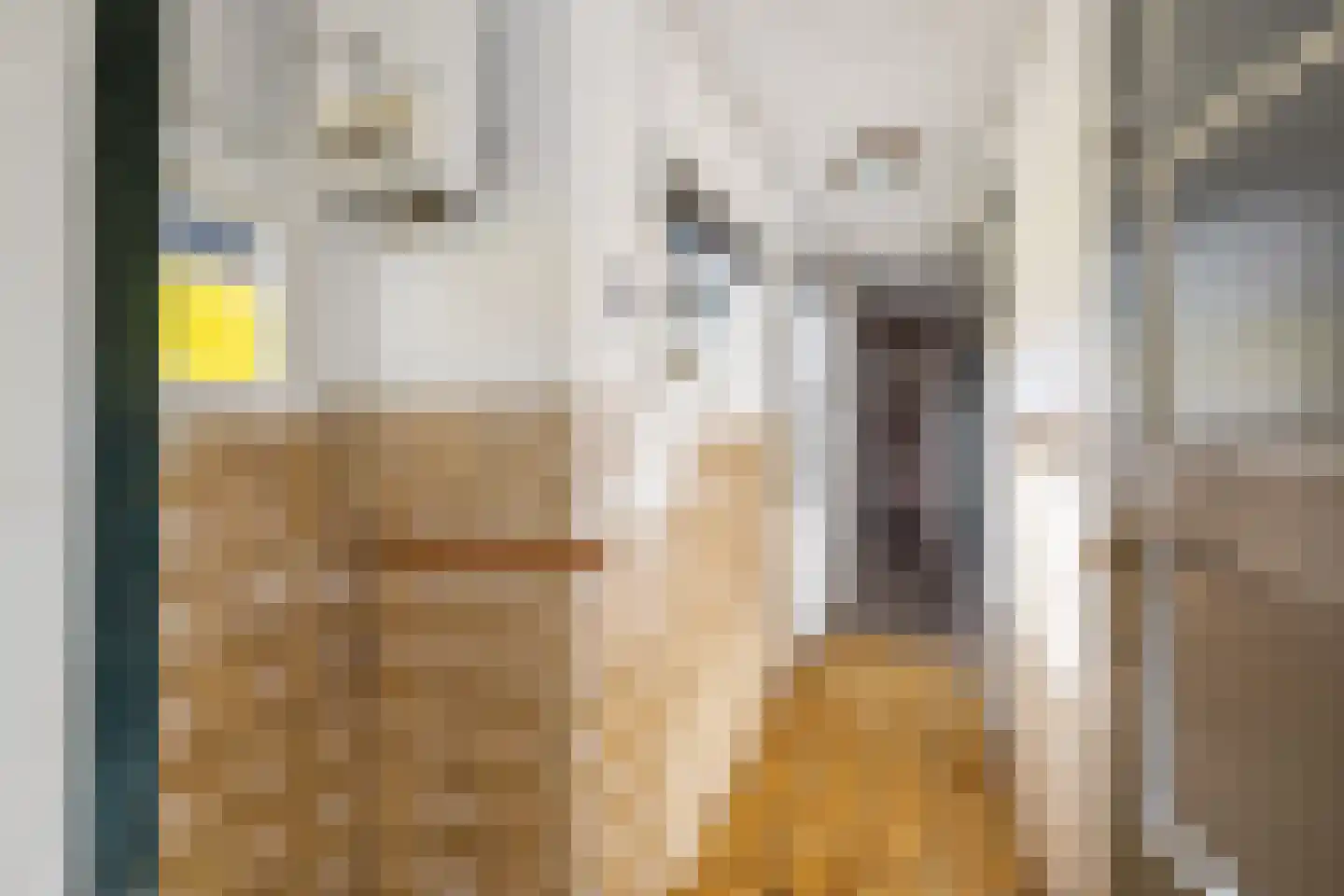 Ranonkelstraat 26 Breda thumbnail 21