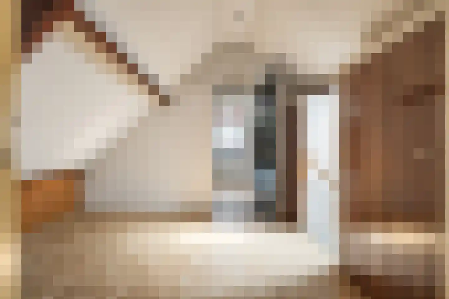 Ranonkelstraat 26 Breda thumbnail 27