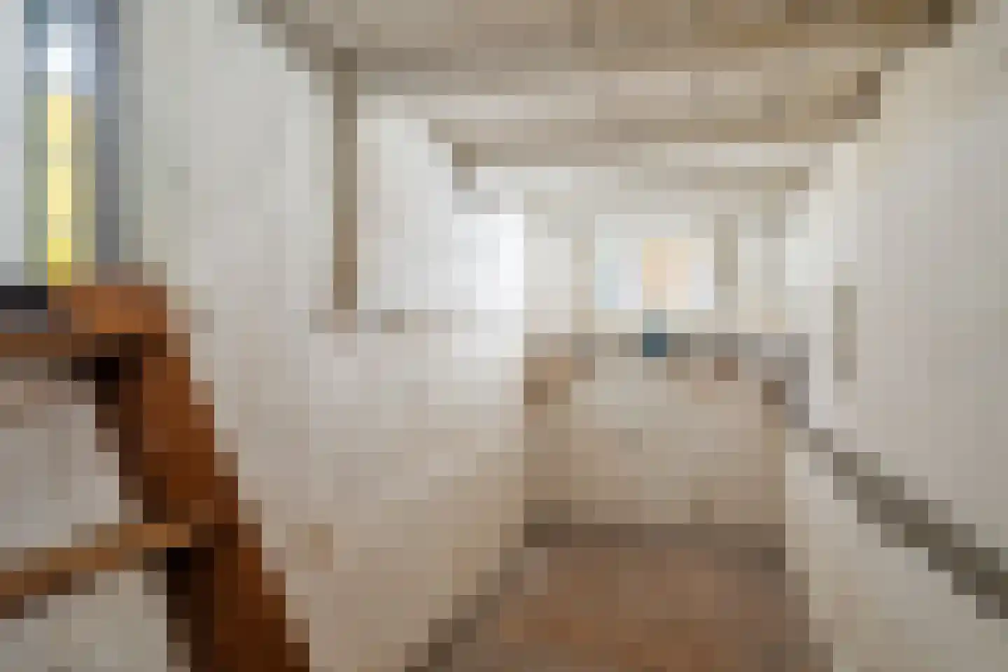 Ranonkelstraat 26 Breda thumbnail 35