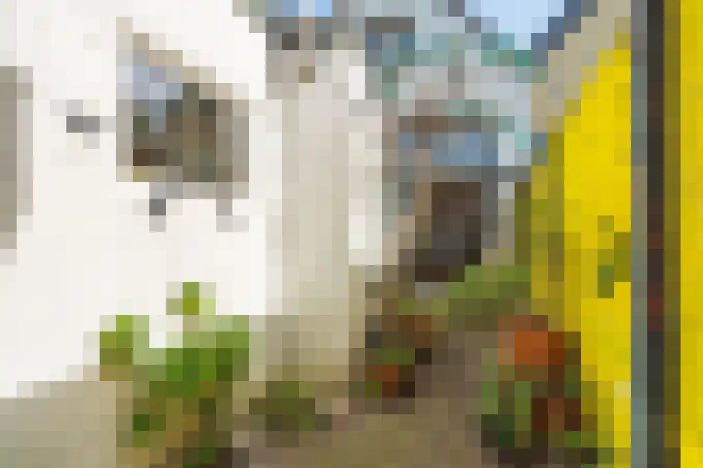 Ranonkelstraat 26 Breda thumbnail 36