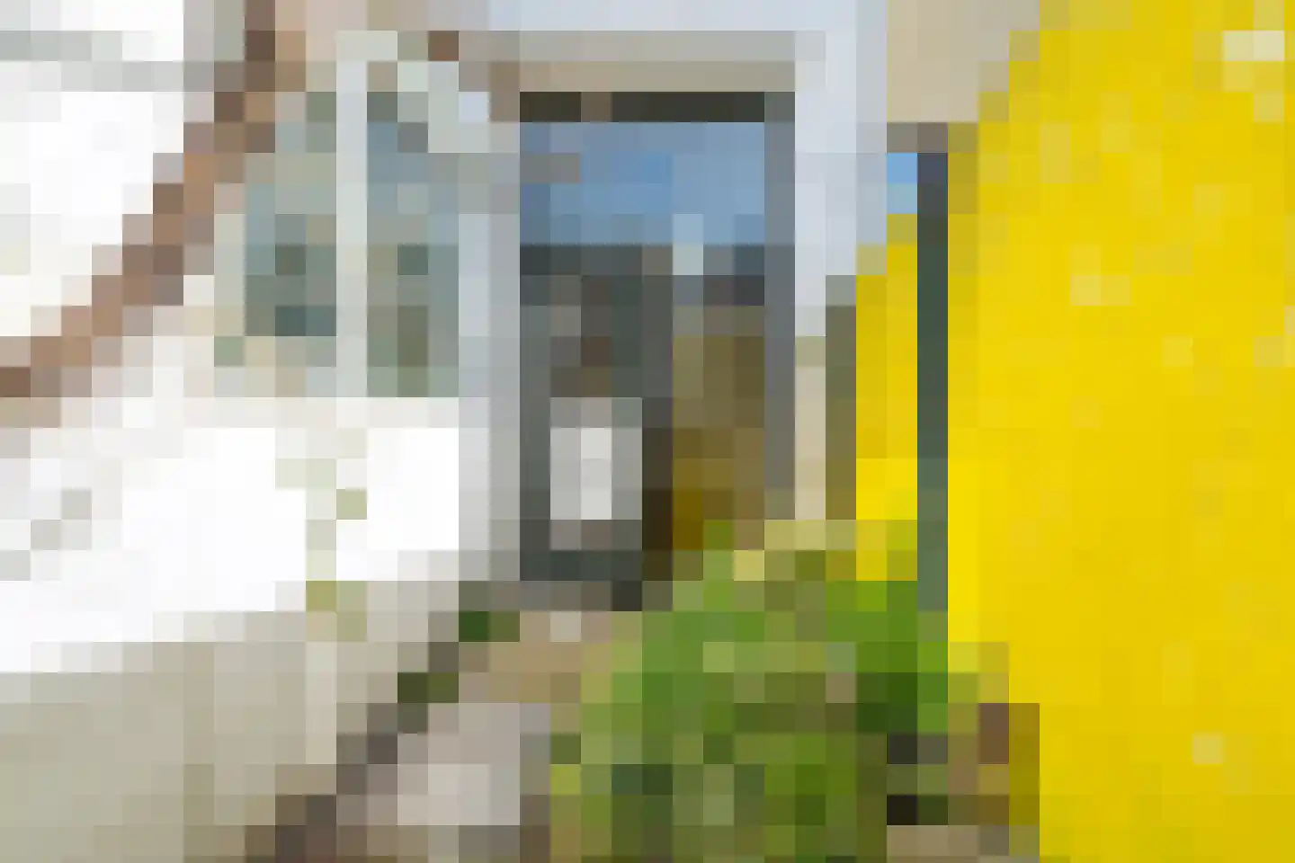 Ranonkelstraat 26 Breda thumbnail 37