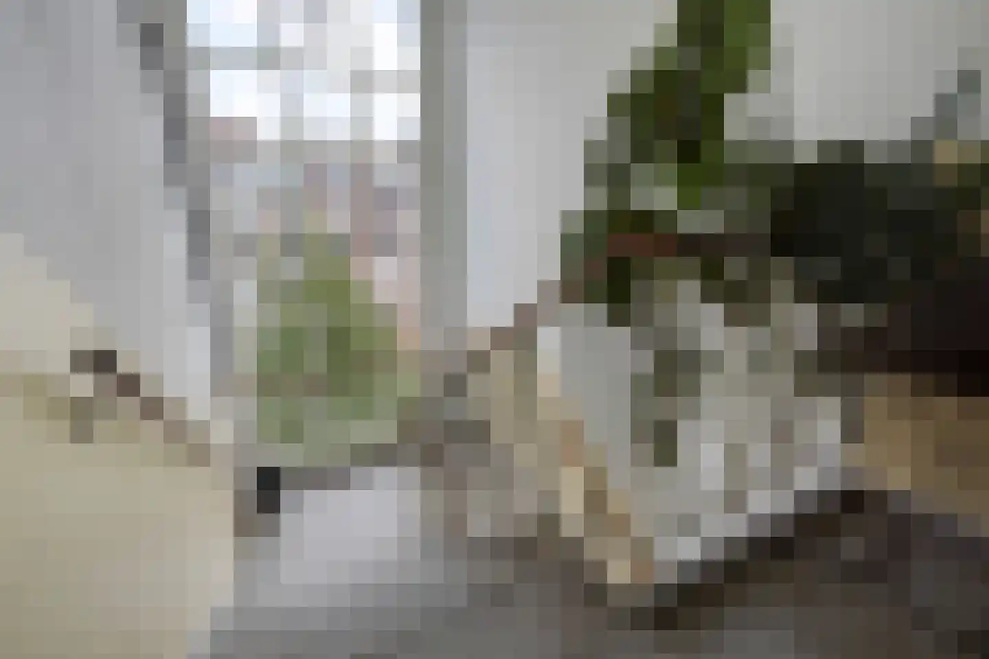 Ranonkelstraat 267 Den Haag thumbnail 12