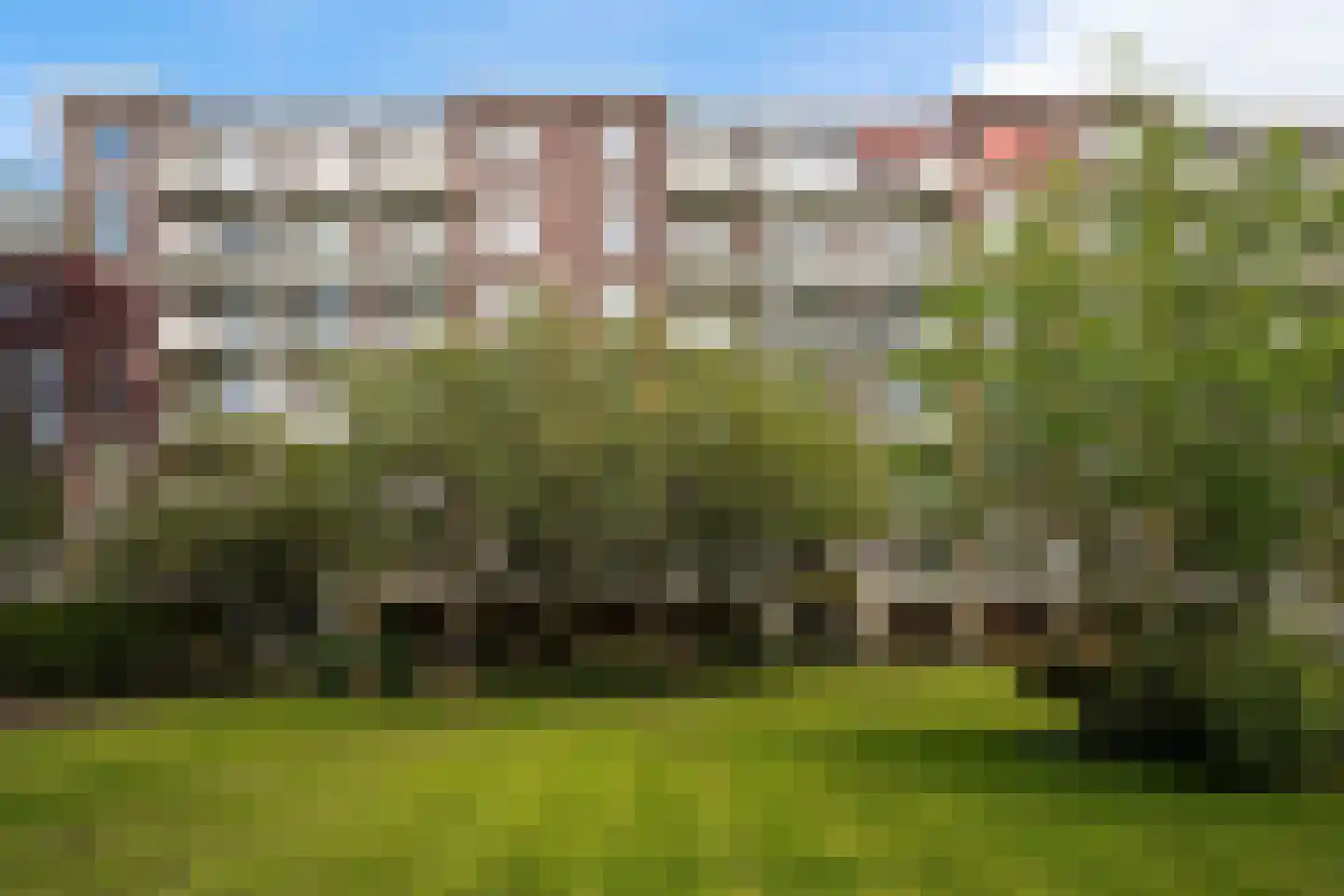 Ranonkelstraat 267 Den Haag thumbnail 5